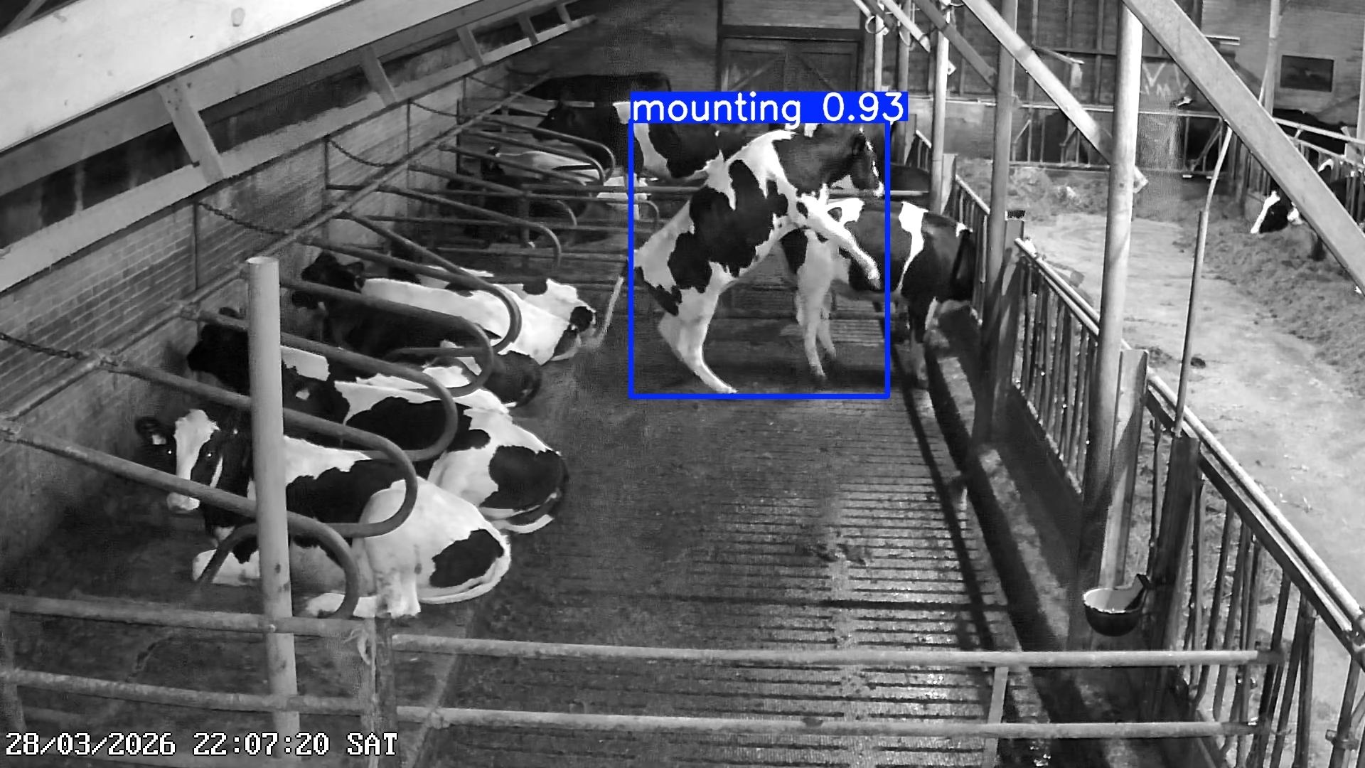 Detection photo sent by the AI Detector, example 3