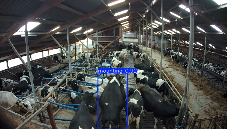 Detection output example sequence - 1