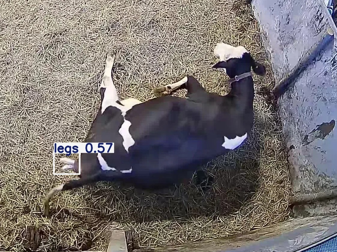 Calving monitoring basics