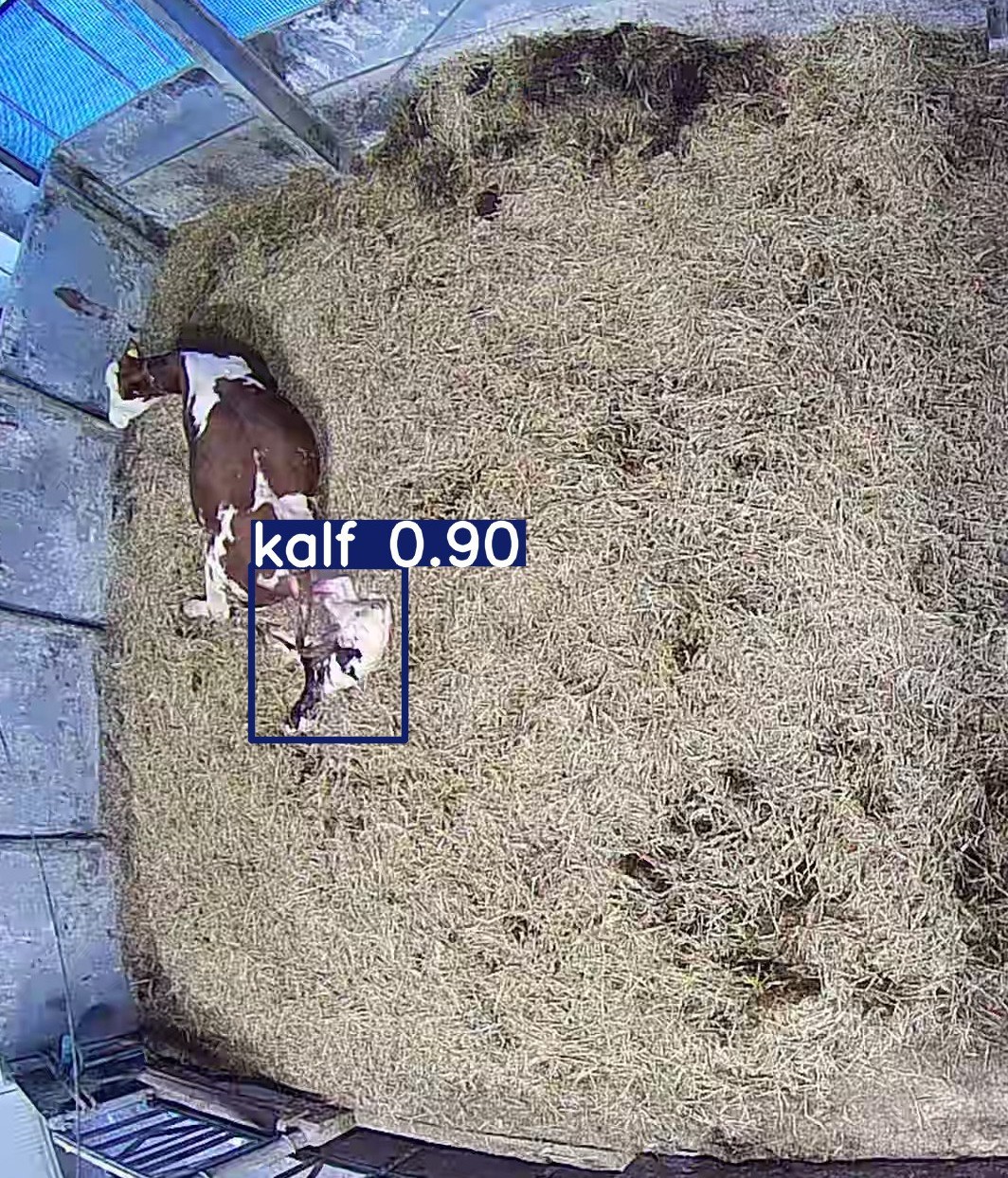 Hardware Setup / The Basics