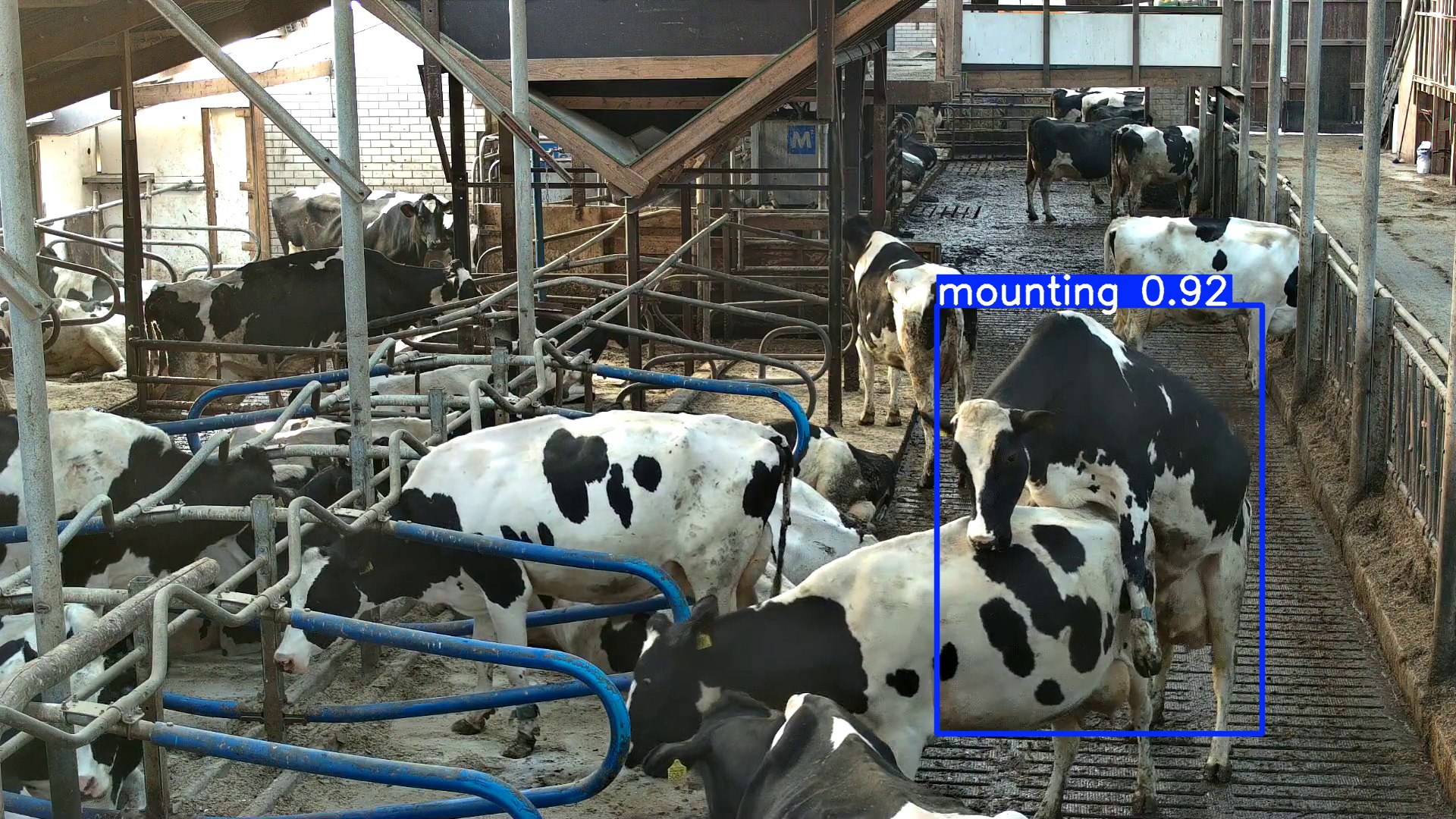 AI analysis of heat behavior